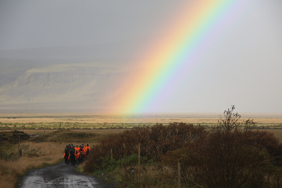 Island - Regenbogen